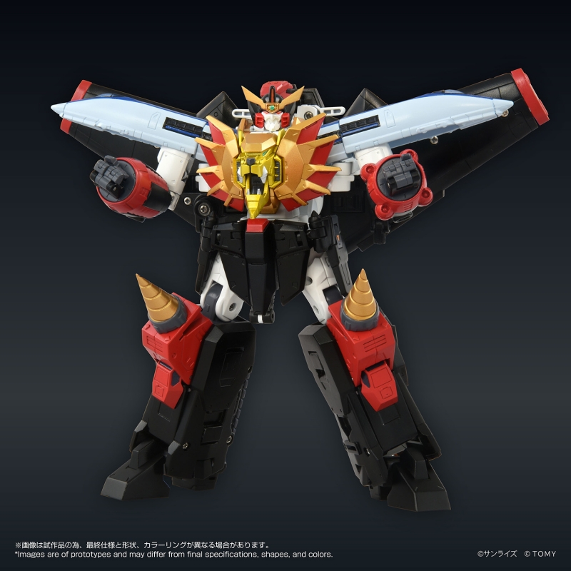 TOYRISE GAOGAIGAR